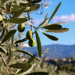 Achtsames Fotografieren – im Hier und Jetzt sehen lernen beim THE QUIET EYE Retreat